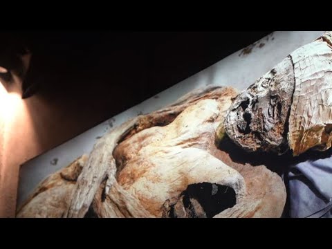 Видео: Какие тайны хранит усыпальница Радзивиллов в Несвиже? Главный эфир