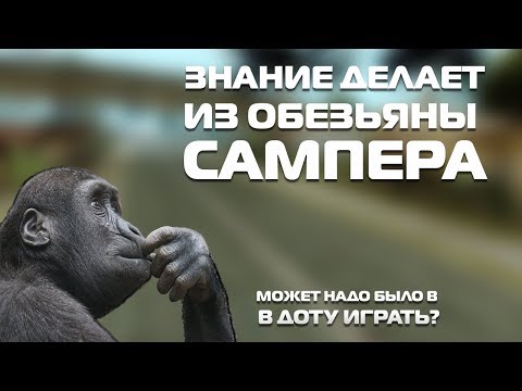 Видео: Гайд для новичков и бывалых игроков||ABSOLUTE RP PLATINUM||