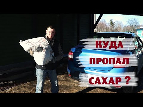 Видео: В магазинах пропал сахар , но мы купили хотя бы...