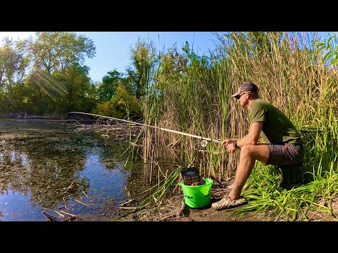 Видео: Новий СПОСІБ ЛОВЛІ КАРАСЯ! Осінній КАРАСЬ НА ВУДОЧКУ!