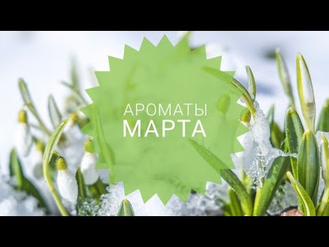 Видео: Ароматы марта 2023г.🌤🌷☀️