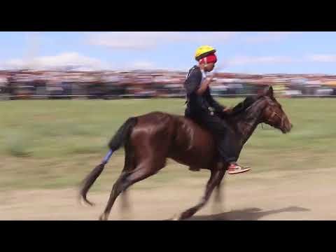 Видео: финиш заезды 2, 3,  Наадым конные скачки, Тыва