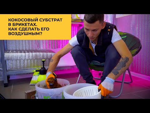 Видео: Кокосовый субстрат. Как развести, чтобы он был воздушным?