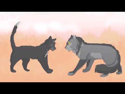 Видео: •[Коты~Воители] {Горелый} Идеальный мир |заказ с канала Полярная Звезда КВ|•