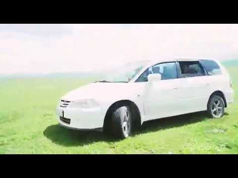 Видео: Арпа тектир 2001-жылкылар