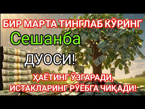 Видео: Сешанба куни Пайғамбар Муҳаммад ﷺ дуоси, инша Аллоҳ, омонлик, бойлик ва муваффақият келтиради..