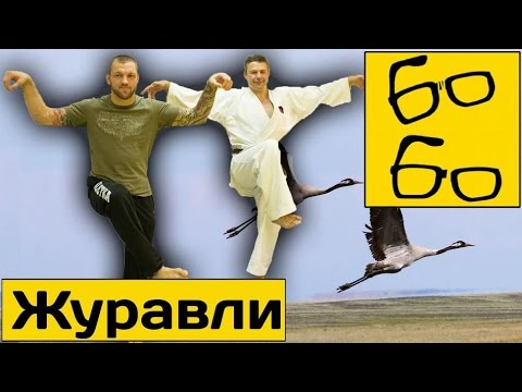 Видео: Спарринг Басынина с Панасюком, а также беседа о Журавле, КОНТЭН и годзю-рю — Панасюк, Курилко, Узун