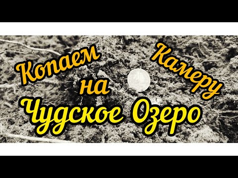 Видео: XP ORX!!! Копаем все сигналы на камеру, только честный коп.