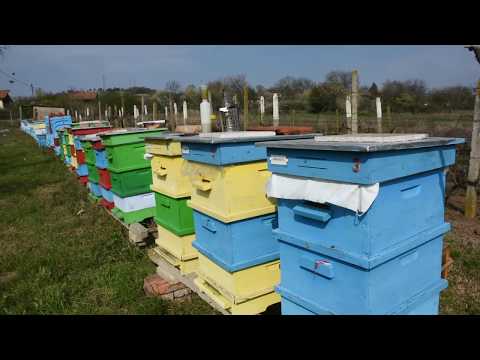 Видео: Пролетно Ротиране на корпуси- ЛР система 12.04.2020, с. Арнаутито, обл. Стара Загора