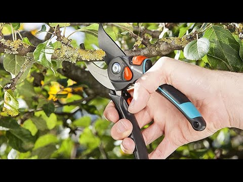 Видео: Как выбрать секатор