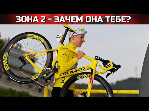 Видео: 2 зона в велоспорте. Зачем она и при чем тут Тадей Погачер ??