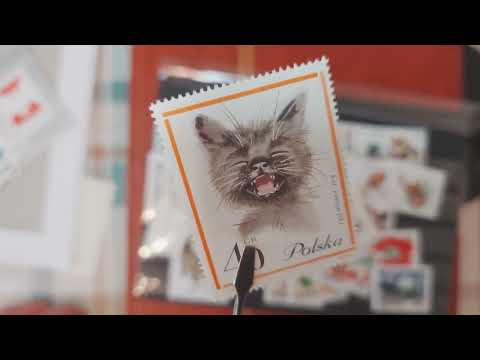 Видео: Коллекция почтовых марок фауна - Пополнение - Fauna stamps collection