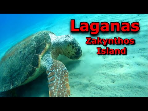Видео: Laganas Zakynthos Island. Лаганас Закинтос. Черепаховый пляж