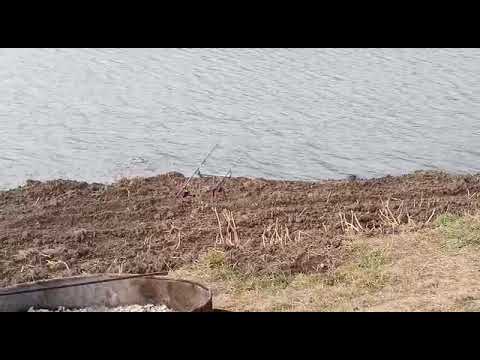 Видео: Ночная рыбалка 🎣 на озере этоко