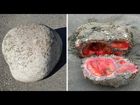 Видео: 8 Камней Которые Лучше Никогда не Трогать