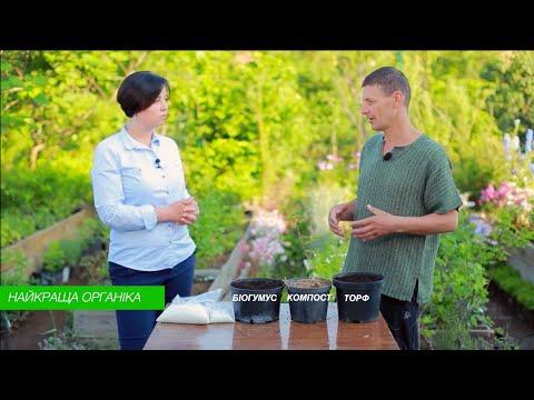 Видео: Найкращі органічні добрива для рослин. Біогумус, торф та компост.
