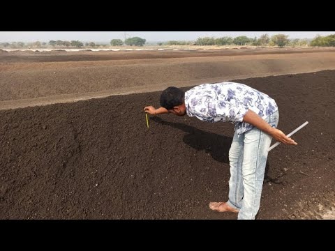 Видео: YANGI BIOGUMUS FERMADAN 110 TONNA SOTDIK!!! KALIFORNIYA CHUVALCHANGLARI БИОГУМУС БУХОРО КАЛИФОРНИЯ