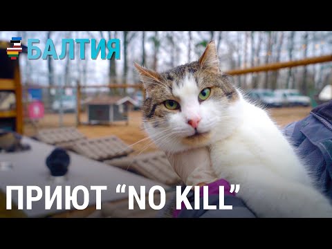 Видео: Приют Улубеле | БАЛТИЯ