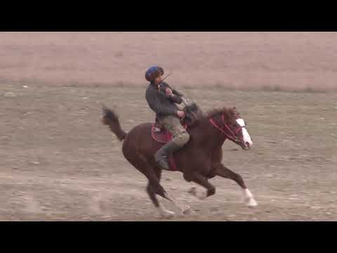 Видео: Кәрімнің құрметіне көкпар