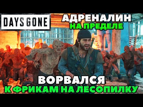 Видео: Days Gone(Жизнь После) - АДРЕНАЛИН НА ПРЕДЕЛЕ! Ворвался к Фрикам на Лесопилку!