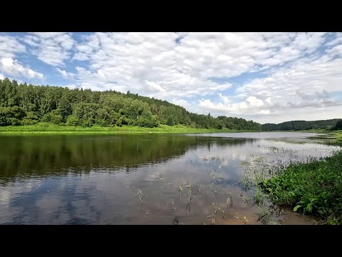 Видео: Западная Двина.Daugava.Фидер.На Рыбалку, для души!!!