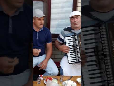 Видео: селение худуц играют на кардионе