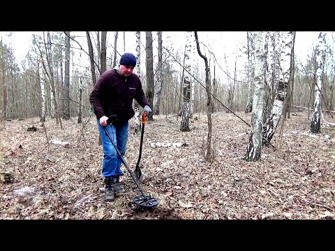 Видео: Добиваю берёзовую рощу! Minelab X-Terra PRO