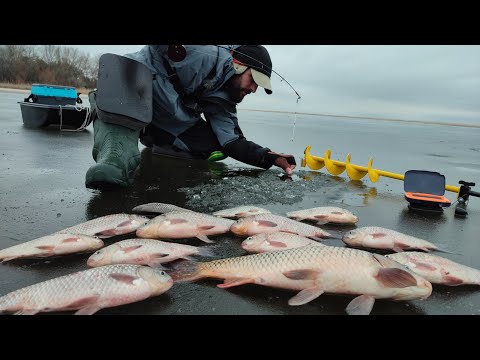 Видео: ТЕХНІКА ЛОВЛІ та всі ТОНКОСТІ ловлі карася та сазана зимою, Рибалка на карася / КАРАСЬ / САЗАН