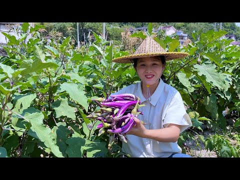 Видео: Жареный баклажан с фасолью, просто, вкусно и с рисом