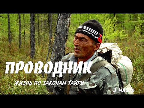 Видео: Проводник. Жизнь по законам Тайги 3 / Siberia. Living by taiga rules / Сибирь