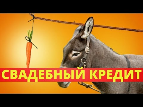 Видео: Кредит на свадьбу Королевские Алени среди нас