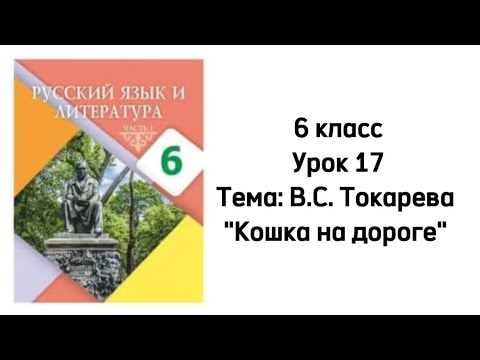 Видео: Русский язык 6 класс Урок 17 Тема: В.С.Токарева "Кошка на дороге"
