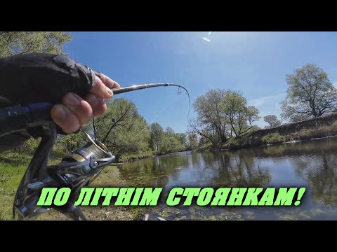 Видео: 💥ВІТЕР ЗДУВАЄ-ЩУКА КЛЮЄ!🎯НЕОЧІКУВАНИЙ БОНУС!