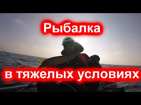 Видео: Рыбалка на Нарочи в сильный ветер!