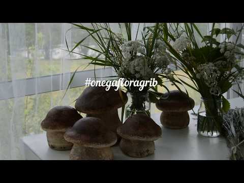 Видео: Гриб из бетона от  Onega Flora & Kuriosa