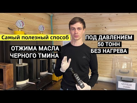 Видео: Масло черного тмина польза. Холодный отжим масла черного тмина. Производство масла в бочонке.