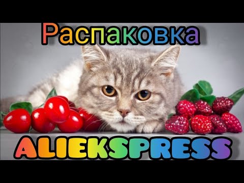 Видео: РАСПАКОВКА ПОСЫЛОК 📦AliExpress #50