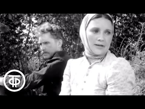 Видео: Егерь. Короткометражный фильм по рассказу Антона Чехова (1959)