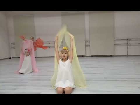 Видео: Бабочки 2023