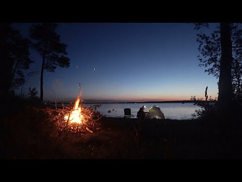 Видео: Ночной лещ и карась на острове! Сказочное место для рыбалки!