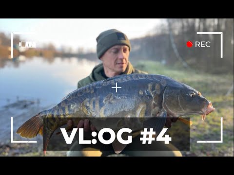 Видео: VL:OG №4 | Ловля коропа 🐟  пізньої осені разом з Євгенієм Буглаком FeederStrike | Водойма CoolPlace