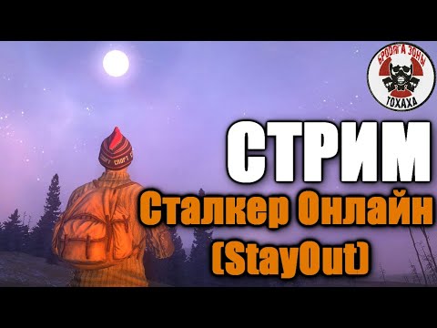 Видео: StalkerOnline  взгляд  с нуля