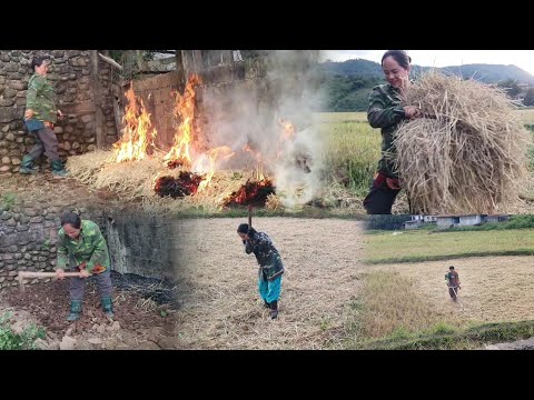 Видео: Мы будем сажать диб и овощи на наших полях.
