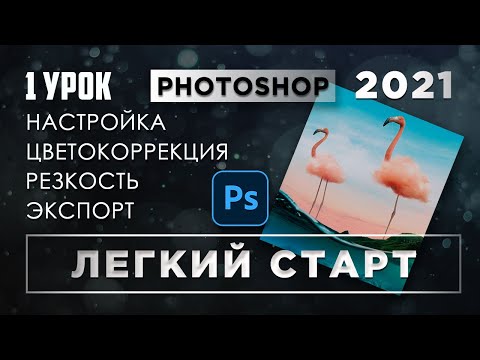 Видео: Обработка фото в Фотошопе / Курс ЛЕГКИЙ СТАРТ #1