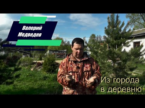 Видео: А есть ли плюсы  деревенской жизни?