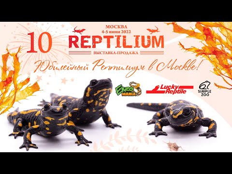 Видео: Как прошёл юбилейный Reptilium Рептилиум?