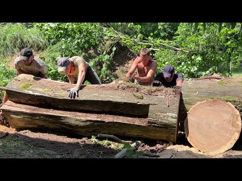 Видео: Брошенное дубовое бревно и удивительная распиловка бензопилой