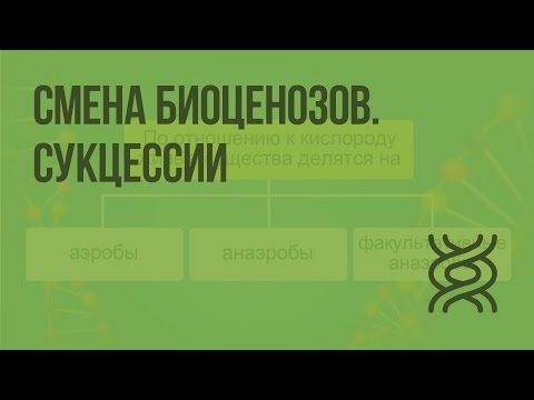 Видео: Смена биоценозов. Сукцессии. Видеоурок по биологии 11 класс