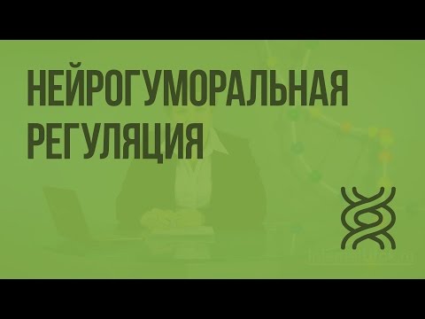 Видео: Биология 8 класс. Нейрогуморальная регуляция