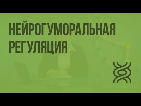 Видео: Нейрогуморальная регуляция. Видеоурок по биологии 8 класс